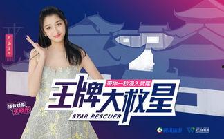 王青欢爆料视频大全集下载,揭秘幕后真相